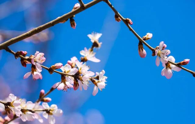 呼和浩特，2026必打卡！凭什么！