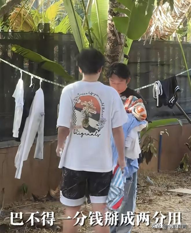 里子面子都没了！赔光2亿后，妻子深夜亲手撕下邹市明最后的体面