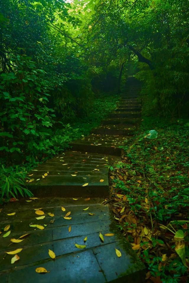 走，到屏山老君山赏秋去→