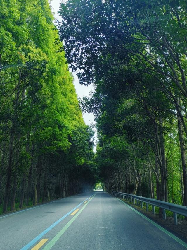 江苏7个AAAAA级景区大合集，去过3个算合格，你都去过几个？