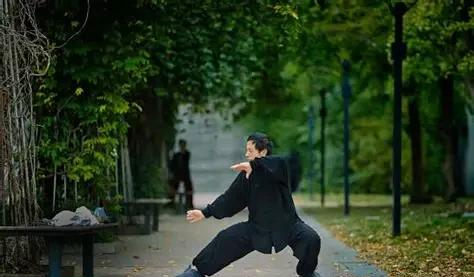 太极高手都不说的秘密：为啥你的“坐胯	”总是做不对？