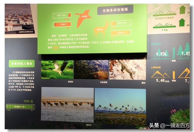 青海省博物馆里的“大美青海”成就展