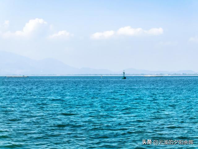 广东阳江海陵岛“渔家乐	”体验	，章鱼独当一面