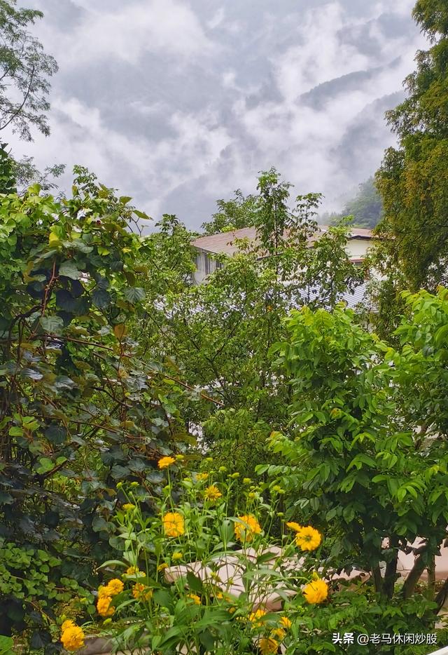耿达——云如花飘，雾似露润