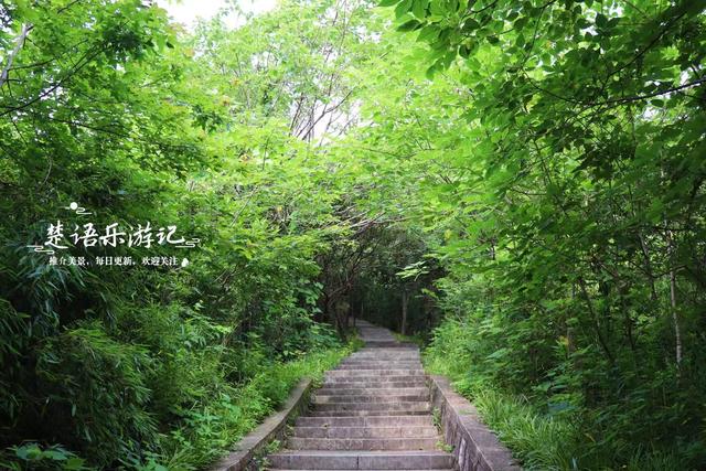 浙江宁波的登山步道，被人誉为宁波的满觉陇，丛林秘境真的太美了