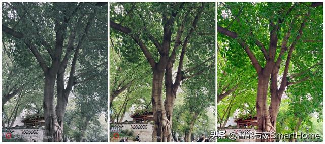 影像游戏的双旗舰体验 实测努比亚Z80 Ultra