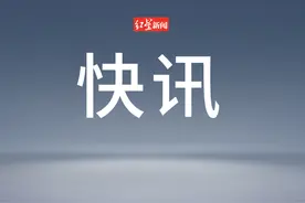 多国宣布，暂停进口！图片