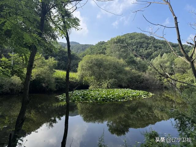 辽宁版"小川藏线"曝光!这条绝美自驾公路,藏着东北最野的风景!