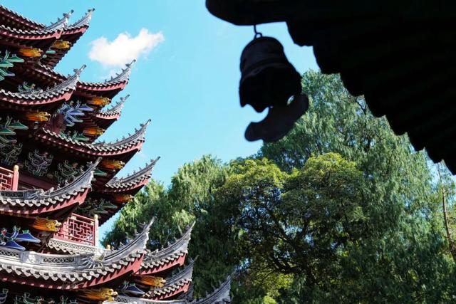 南北方温差大蹦迪？但这个城市正是出游好时候！