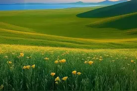 微信头像｜风景头像，雨后彩虹，见者好运图片