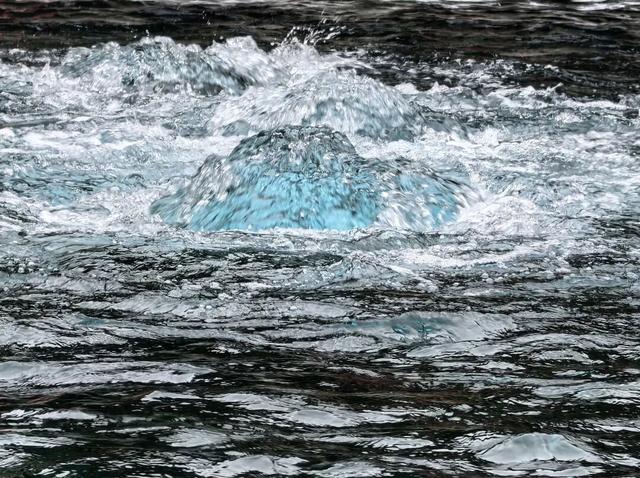 被济南泉水下的世界惊艳到了！