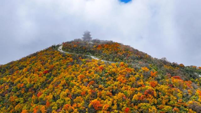 叮！龙头山秋日余额已不足！期待新一轮的冬雪到来~