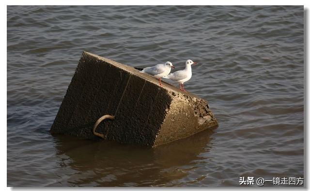 漫步丹东鸭绿江畔，可以隔江望见对岸的朝鲜