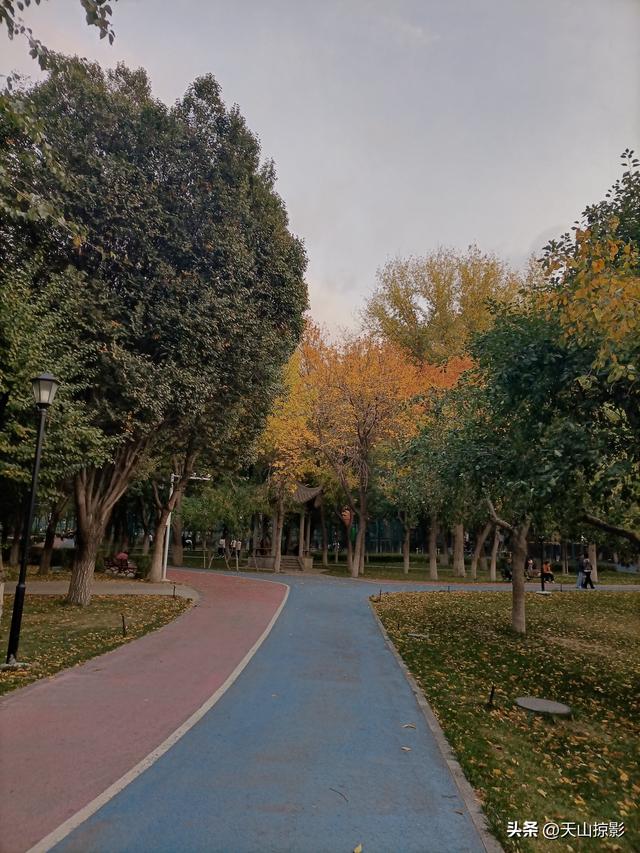 踏秋