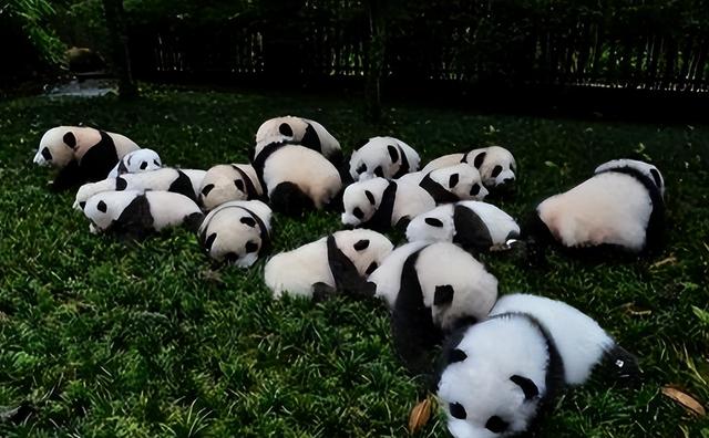 老外眼中的中国各省：浙江很嗨，东北很冷，没想到最受欢迎的是它