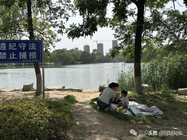 生活在冠县这座小城