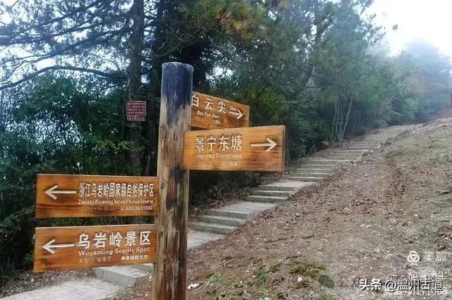 远上乌岩岭上斜,白云生处白云尖!温州这处秋日美景值得一去!