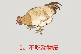 不用饿也能瘦的“6个”方法，比跑步健身瘦的快，养生频道都推荐图片