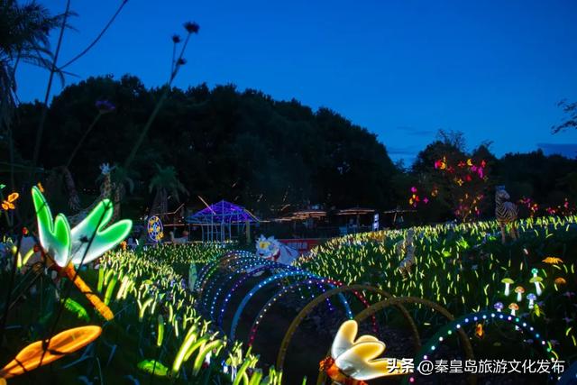 夜游地+1！秦皇岛千灯之夜璀璨启幕，游玩攻略看这里！