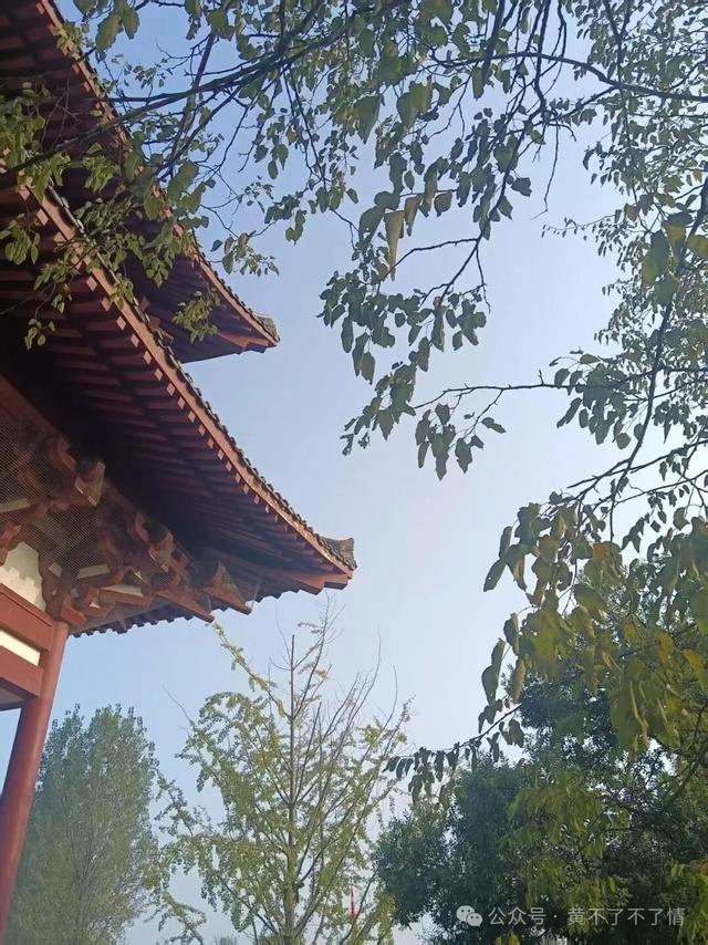 光山文殊寺,秋日的宁静与闲适