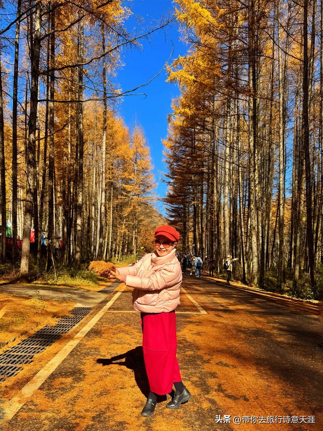 光雾山秋色斑斓，迎来23届光雾山国际红叶节