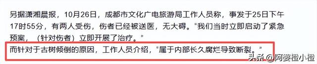 突发！武侯祠百年古柳轰然倒伏，两名游客被砸送医，现场细节曝光