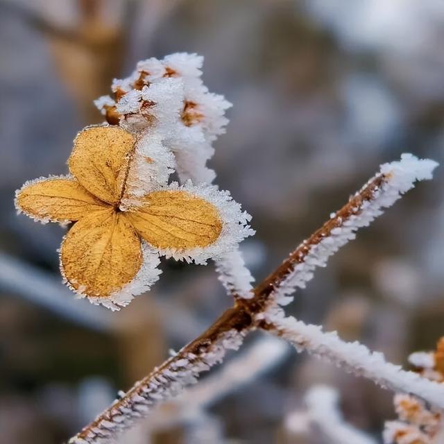 绝美！泰宁峨嵋峰变身冰雪王国，每一帧都是壁纸→