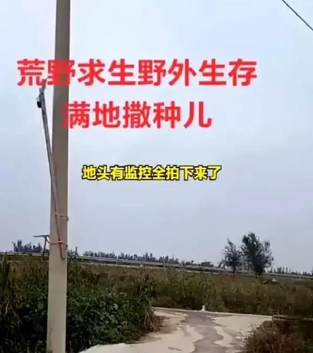 女子跑去玉米地约会，农户晒出现场照片：纸巾扔了一地