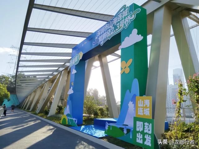 从地铁口出发，游逛刚刚开放的鲲鹏径二号及三号桥