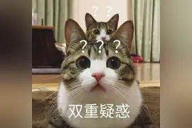 比亚迪员工爆料：不好意思，半导体事业部我没听说谁加过班图片