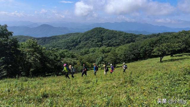 两次本溪南岭徒步记｜高山草甸，湖池松林，我被南岭种草