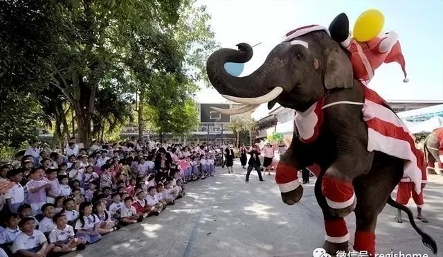 虽然在泰国长居13年，但我绝对不会让孩子来泰国学习生活