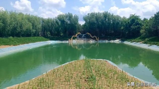 周末逃离计划|双辽私藏绿野仙踪，森林覆盖率95.7%，距市区10公里