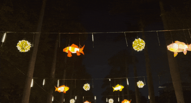 赏花灯、猜灯谜、看英歌舞......今天就去这里闹元宵！