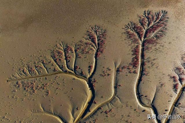 2025辽宁赏秋之旅日记(6)——到辽河口中国最北海岸线看日出 观鸟