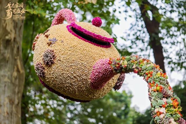 不愧是顶流！一大早就红了，人挤人持续好多天！萧山人家门口也有······