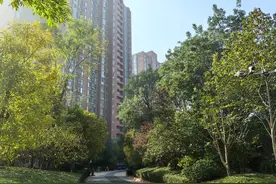 白天高铁吵深夜汽车噪，这里的居民有点受不了图片