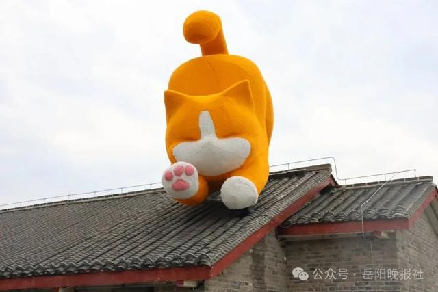 白天晚上“两副面孔”？岳阳这条街，逛100次都不够！
