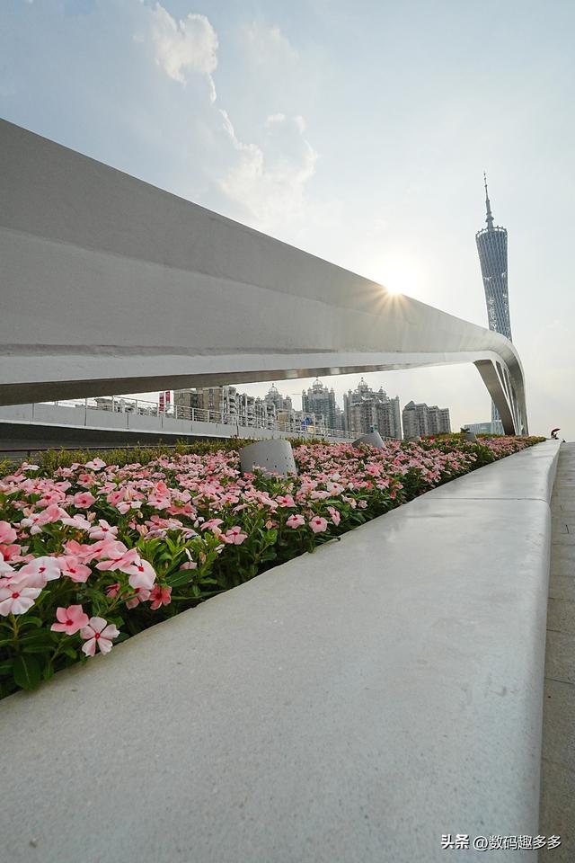 广州新晋网红点，黄埔涌桥打卡攻略