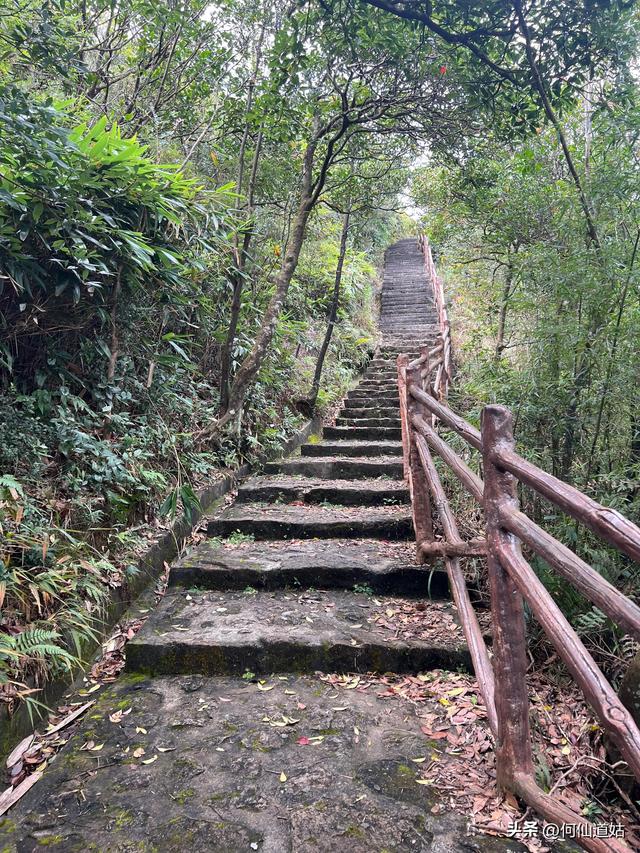 这个时候去五指山