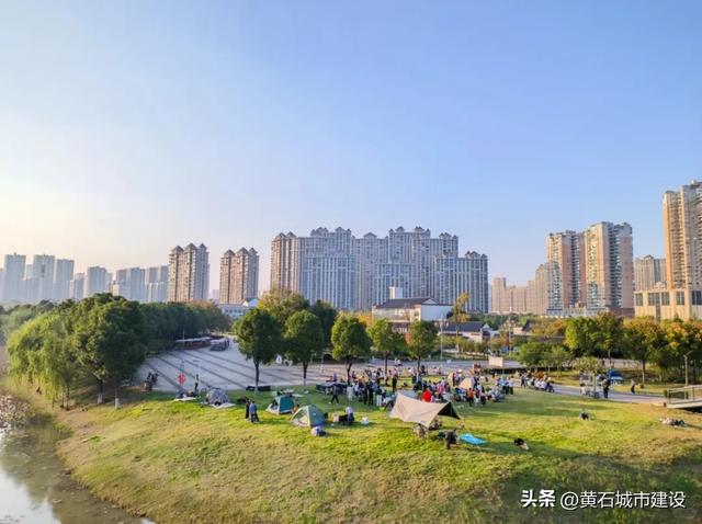 黄石新顶流打卡地！红杉林层林尽染 现实版“童话森林”