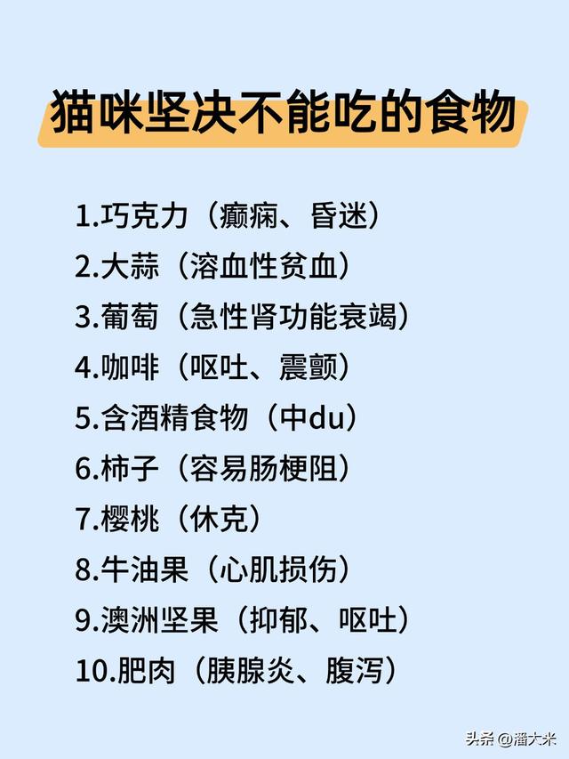 养猫必看！这些食物让猫活不过24小时，还有能吃的快收藏