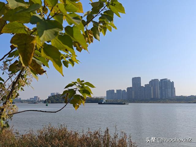 广州随意逛2024——梁明成雕塑公园