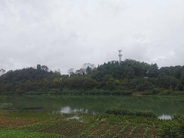 遵义新蒲：沙滩旧景有“花山”