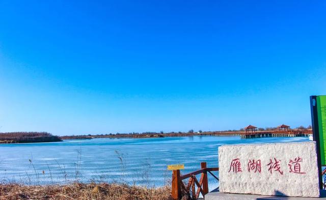 【黄河口生态旅游区】错峰出游 感受正月里的“松弛感”！