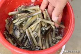 约吧，来日照，开启花样假期之旅~图片