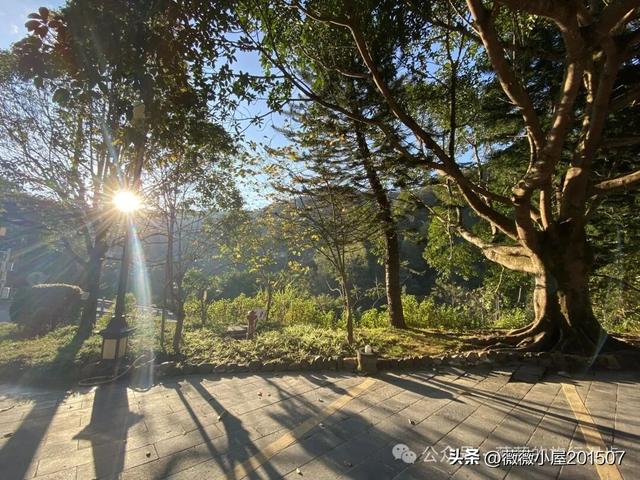 腾冲秘境：火山沉寂，绽放的地质与自然之美