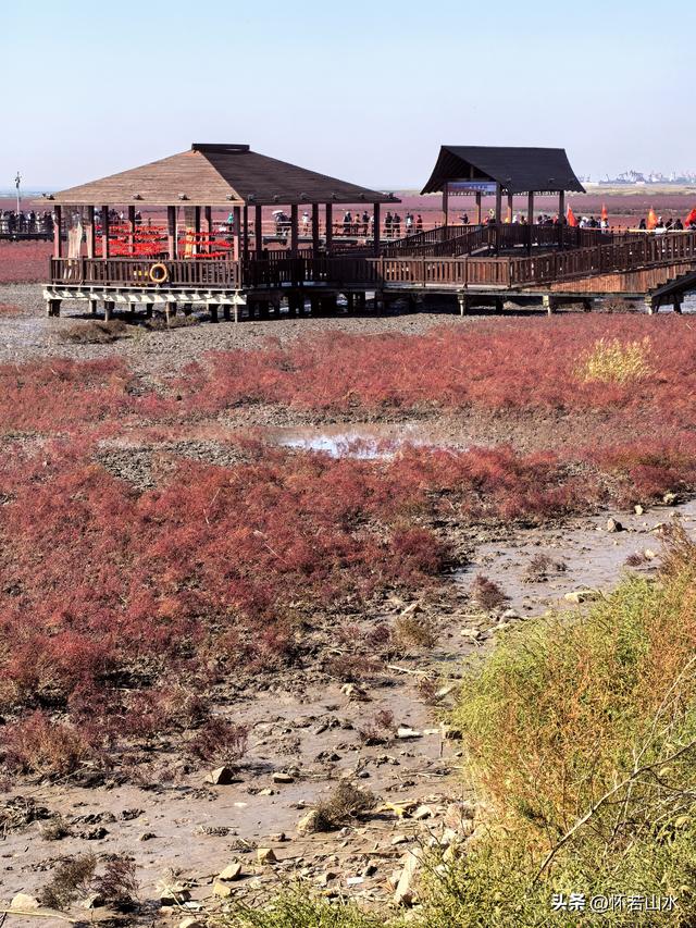 2025辽宁赏秋之旅日记(5)——从本溪前往盘锦 游览红海滩景观