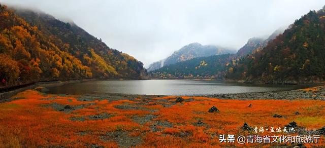 秋色漫卷海东，一场山水林间的浪漫叙事