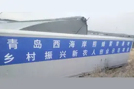 为甜蜜加码！它们在西海岸落户啦图片